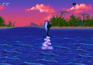 Ecco the Dolphin