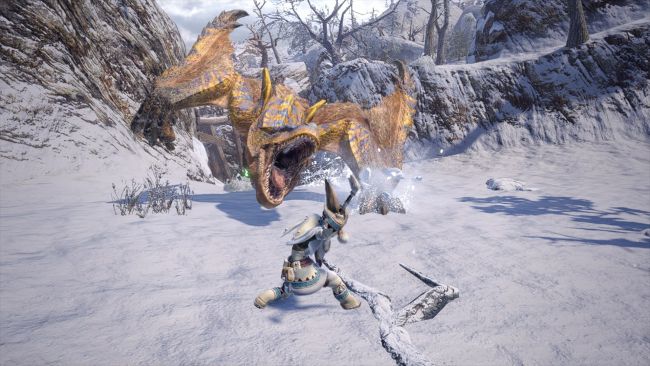 Monster Hunter Rise