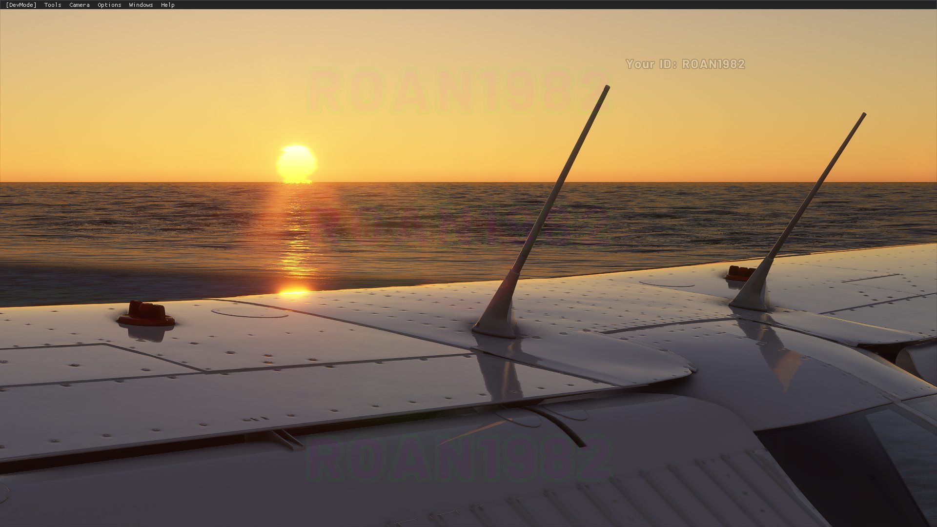 Microsoft Flight Simulator