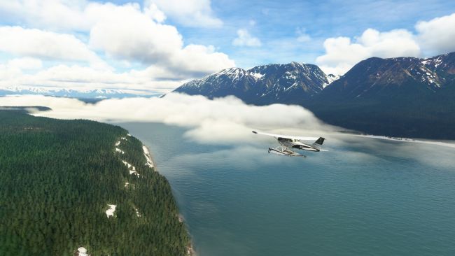 Microsoft Flight Simulator