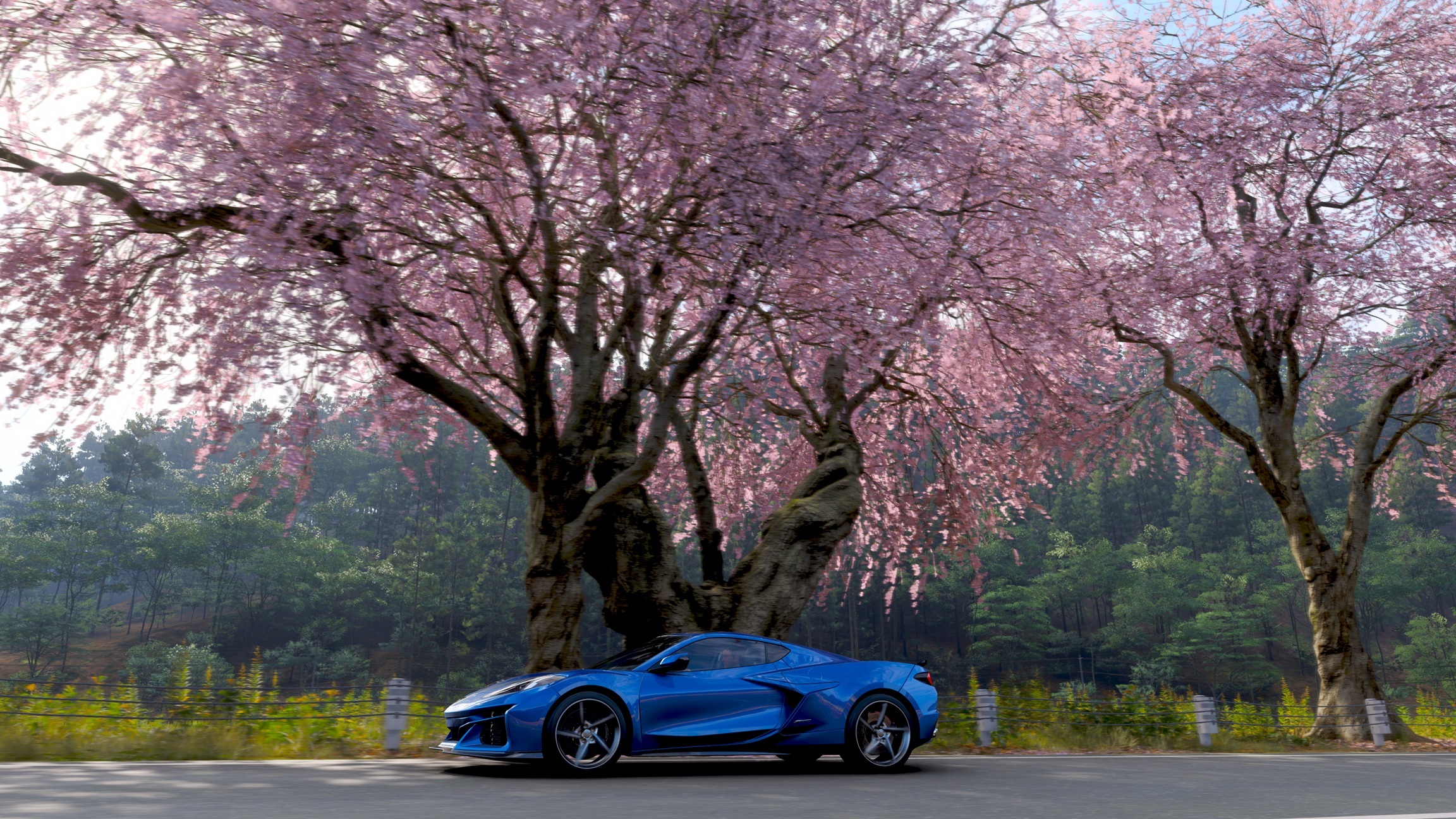 Forza Horizon 6 no te dejará destruir los cerezos en flor de Japón