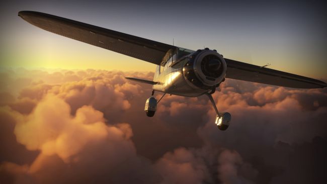 Microsoft Flight Simulator