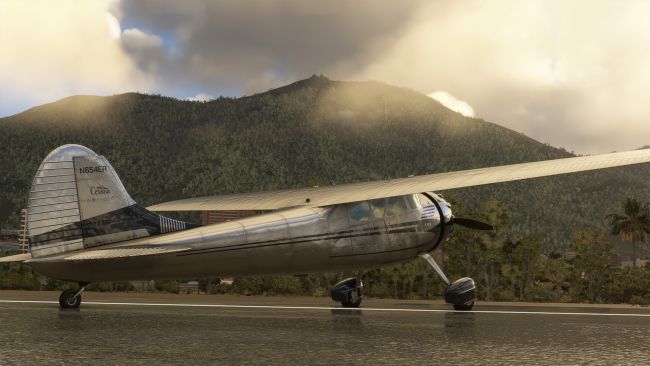 Microsoft Flight Simulator