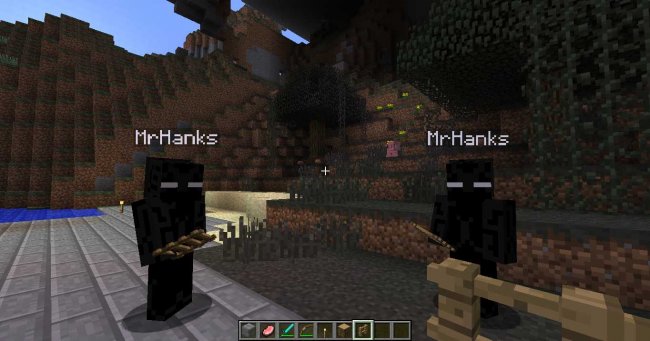Minecraft