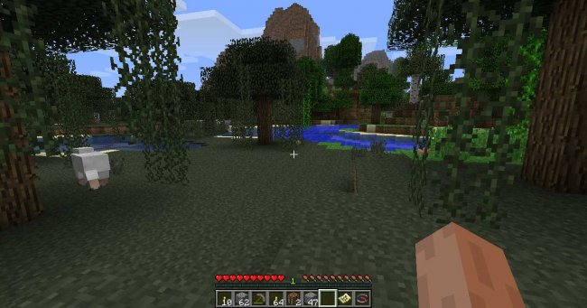 Minecraft