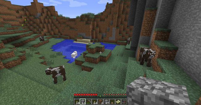 Minecraft