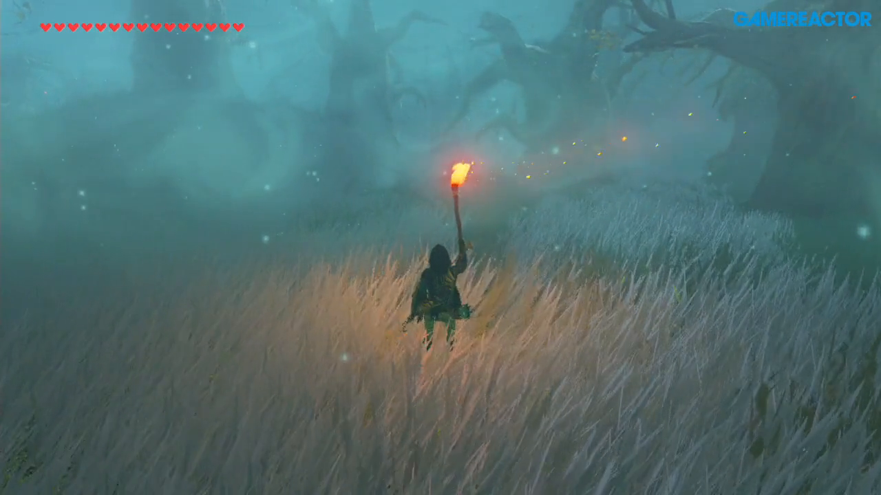 Vídeo Cómo cruzar el Bosque Perdido de Zelda BotW