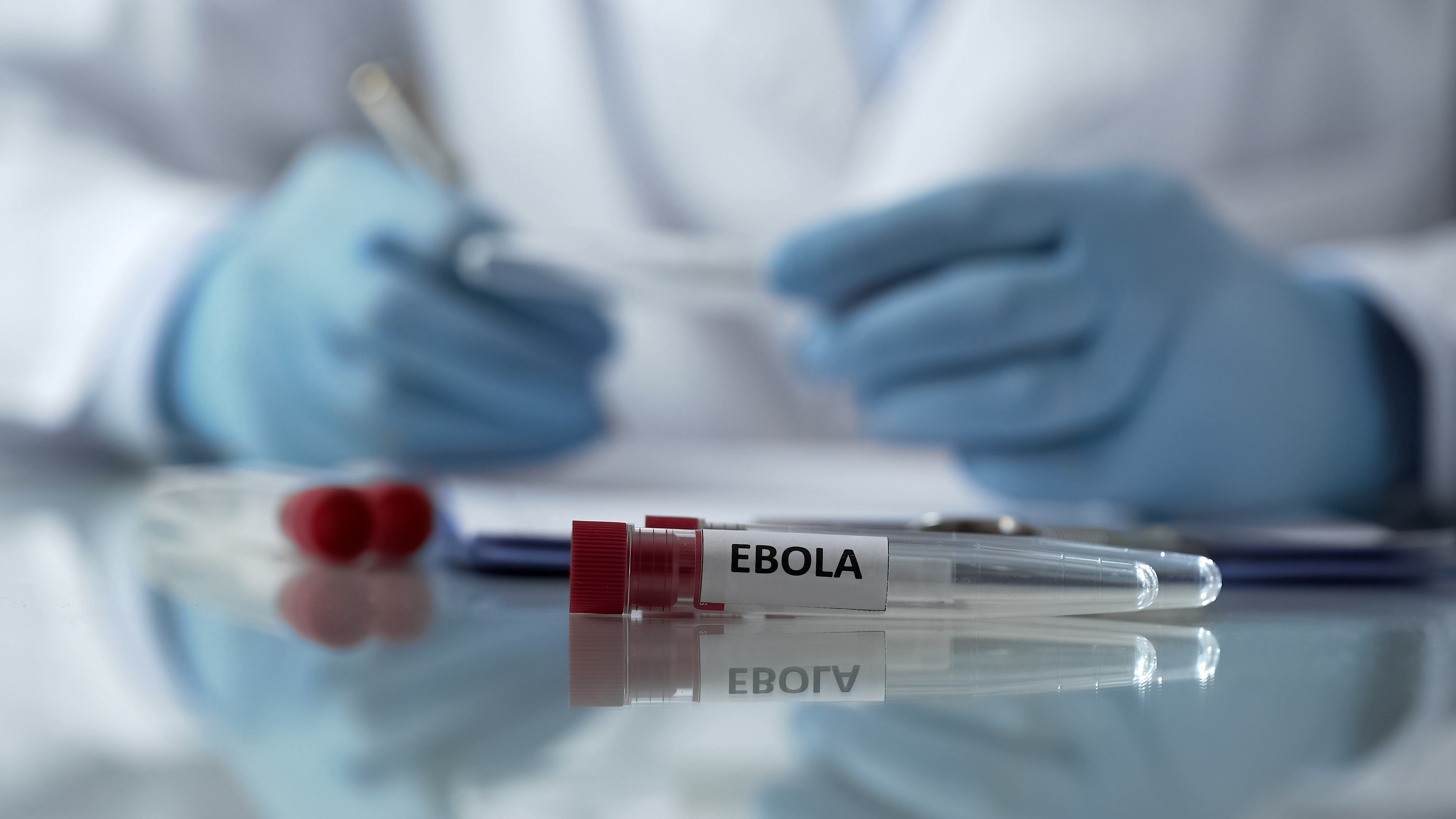 El brote de ébola en la RD del Congo mata a 65 personas y se registran 246 casos