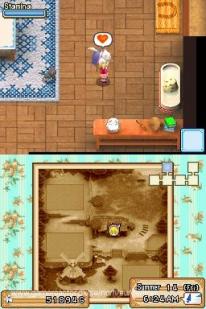 M&aacute;s Harvest Moon este a&ntilde;o