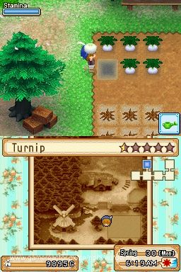 Harvest Moon DS: Grand Bazaar