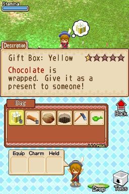 Harvest Moon DS: Grand Bazaar