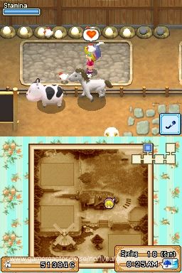 Harvest Moon DS: Grand Bazaar