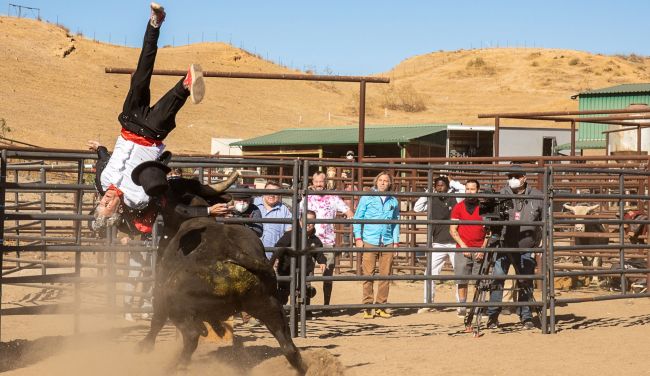 Jackass: Best and Last