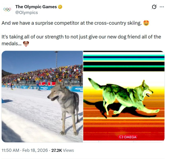 La cuenta oficial de los JJOO elimina discretamente un tuit del incidente viral pero peligroso del perro