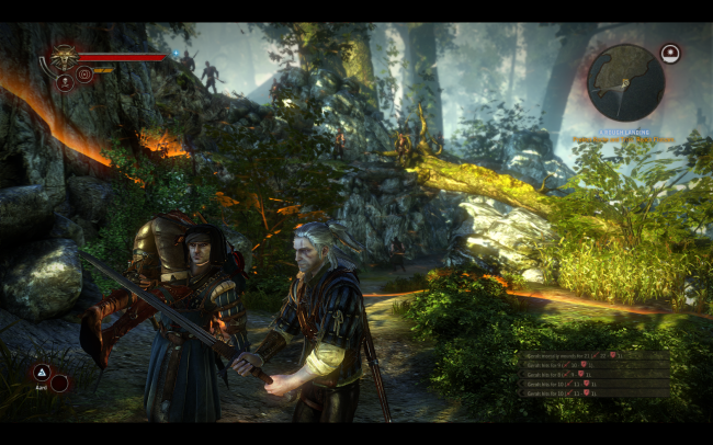 The Witcher 2: Assassins of Kings