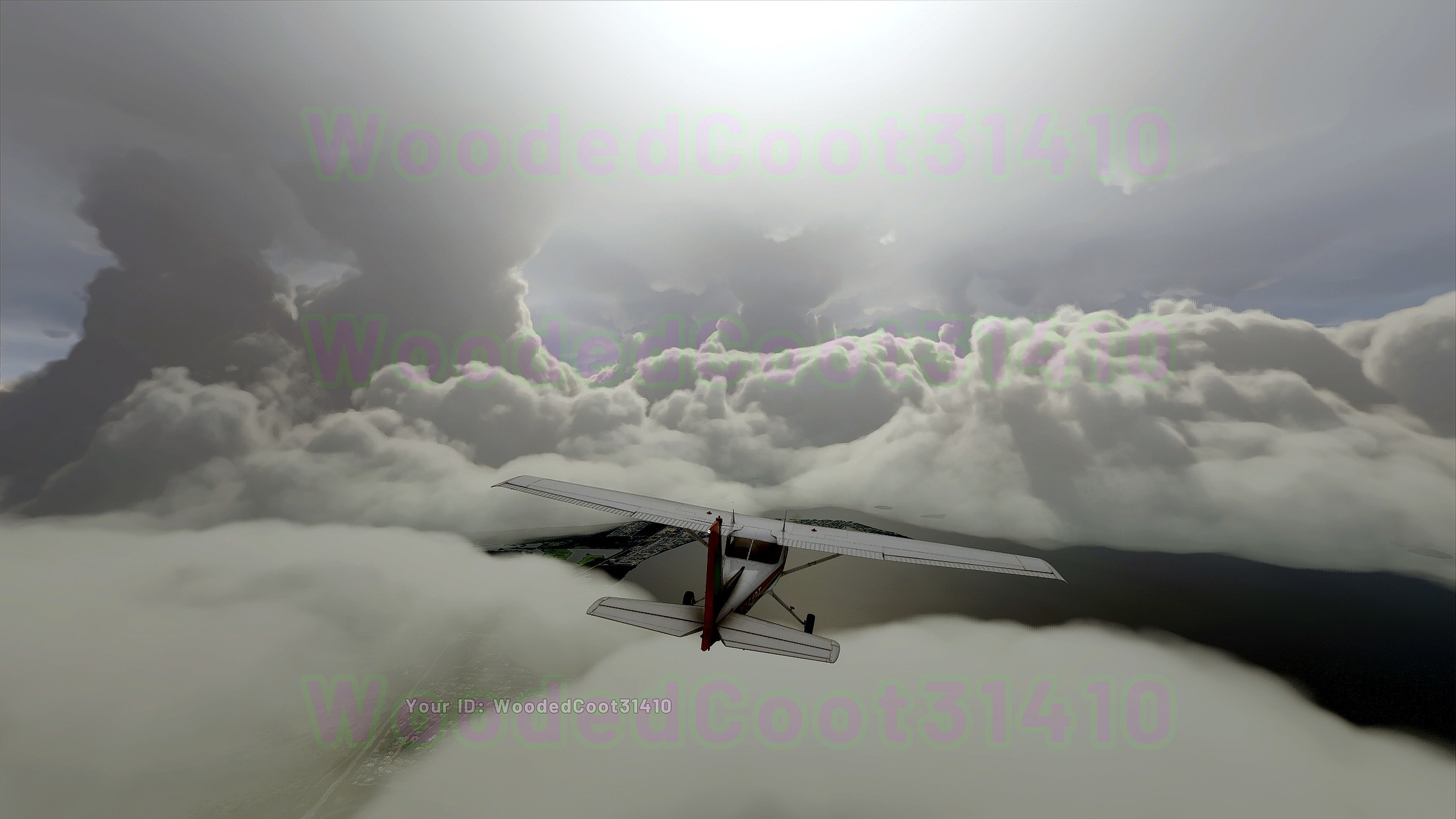 Microsoft Flight Simulator