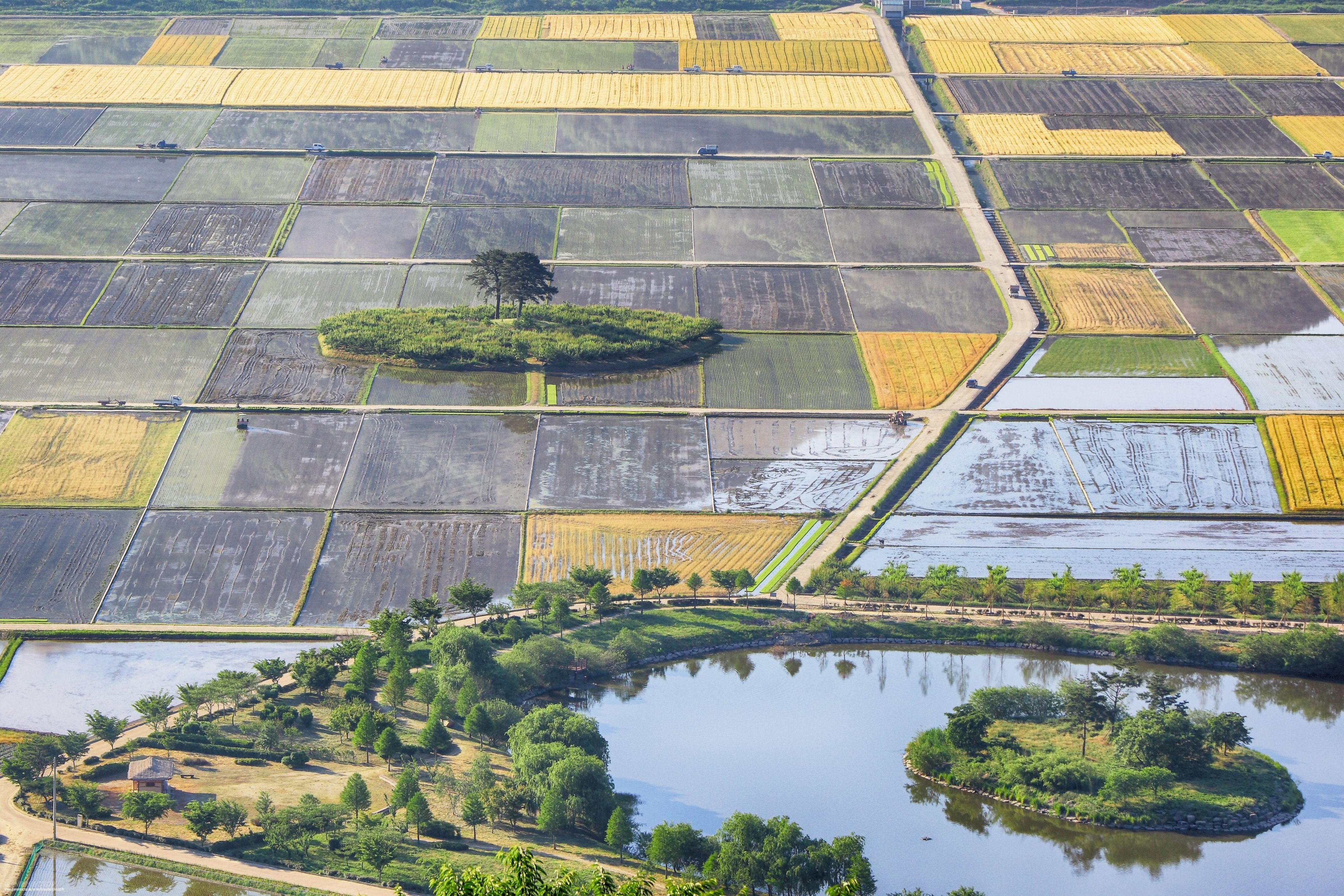 Corea del Sur despliega drones en zonas rurales para vigilar la salud de los agricultores y ancianos del campo