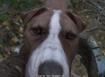 Análisis de Kingdom Come: Deliverance II