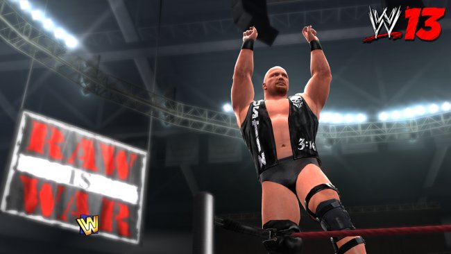 WWE 13
