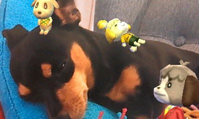 Animal Crossing: New Leaf