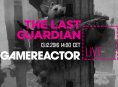 Hoy en GR Live en español: ¡Jugamos a The Last Guardian!