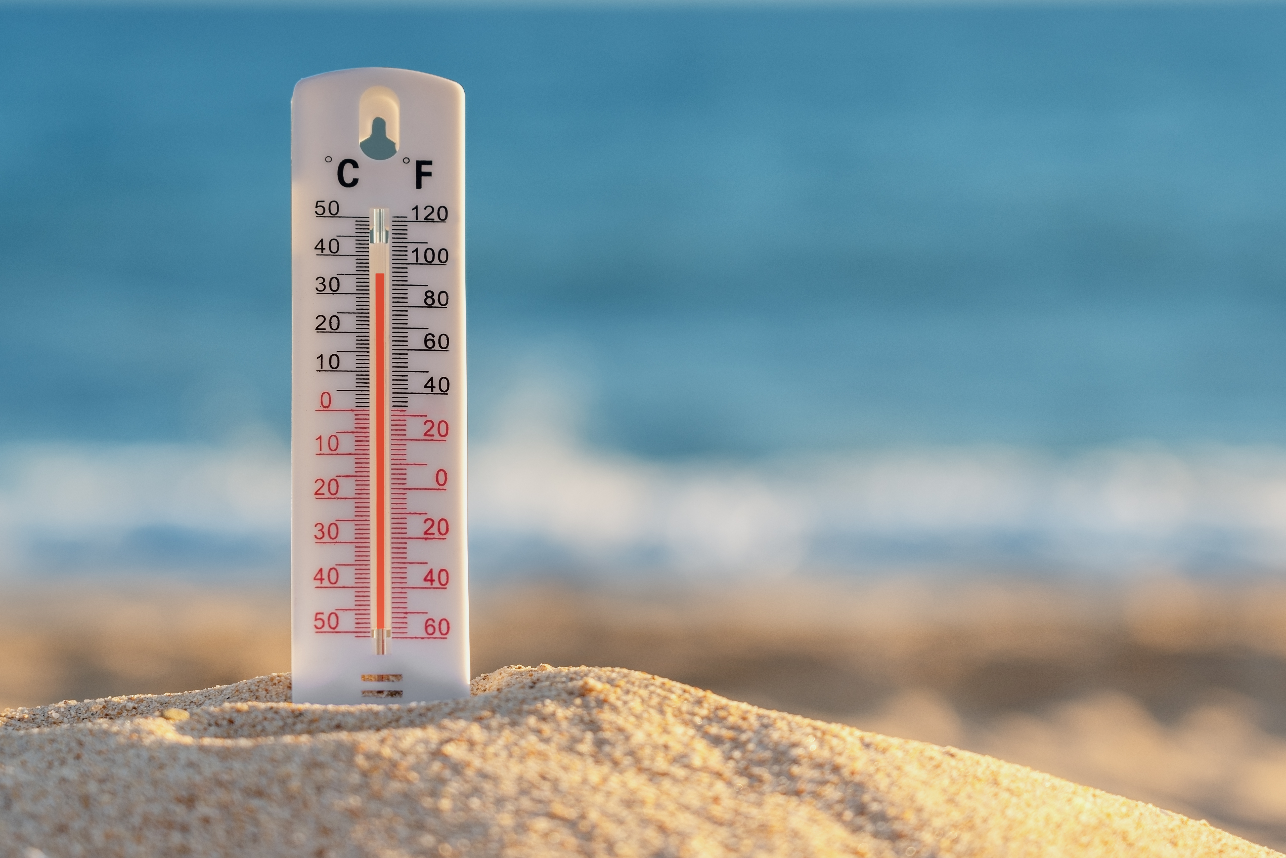 Se cancela la cumbre climática sobre el calor extremo debido al calor extremo
