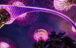 Singapur quiere reconocer los esports como deporte oficial