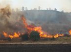 11 personas mueren en un incendio forestal en Almer&iacute;a al intentar escapar de las llamas