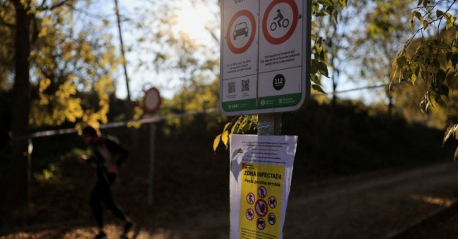 Despliegue de veterinarios de la UE para hacer frente al brote de peste porcina en Barcelona