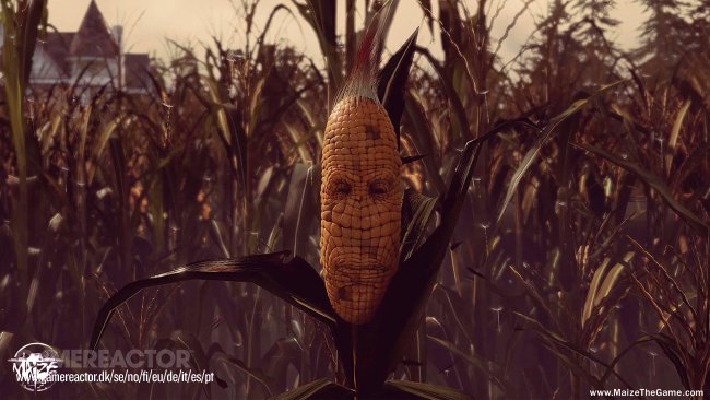 Maize
