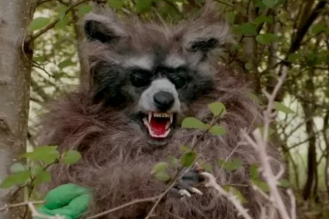 Crackcoon