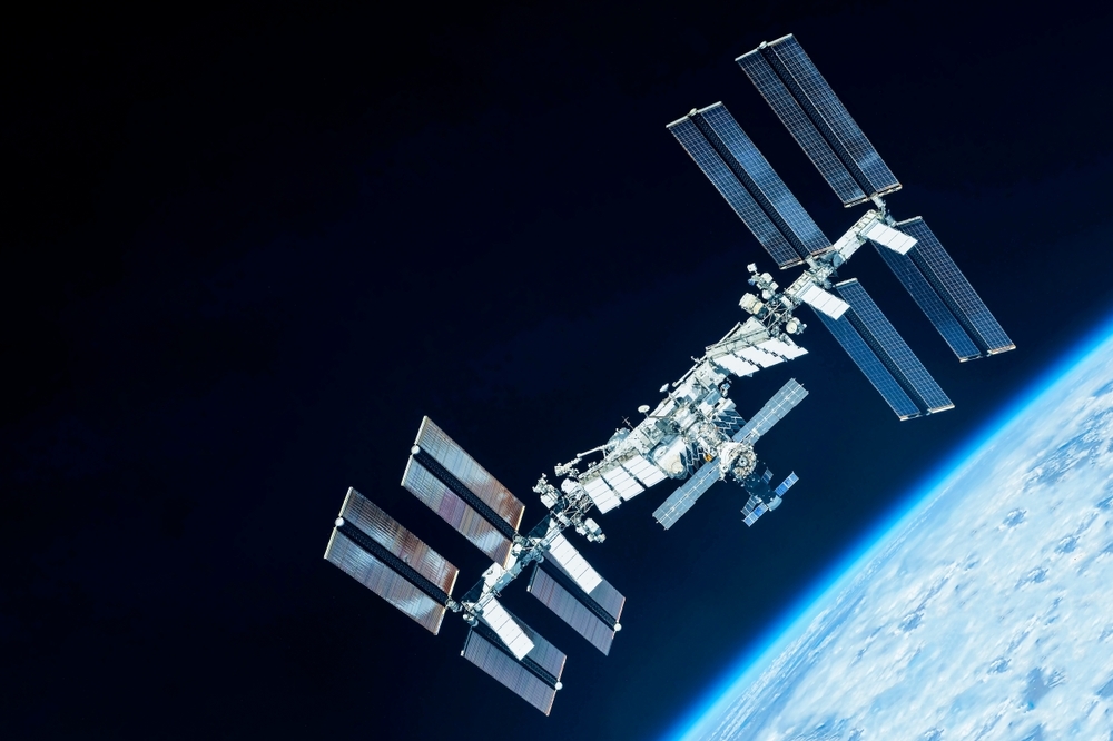 Los científicos enviaron musgo al vacío del espacio... Hoy revelan que sobrevivió 283 días.