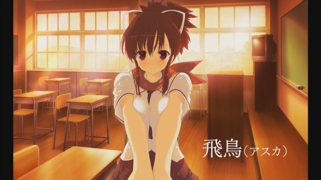 Shinobi Refle: Senran Kagura