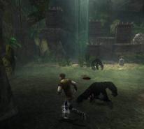 Related Image