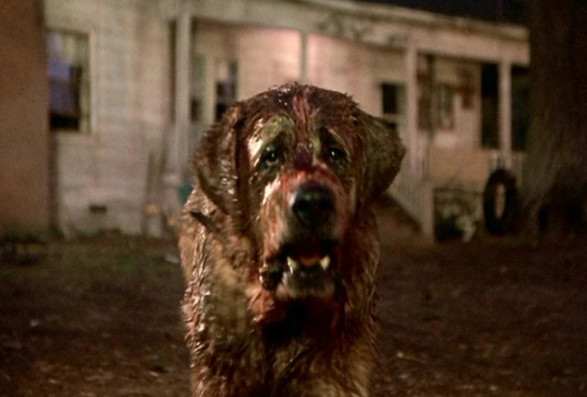 Netflix planea un remake de Cujo de Stephen King
