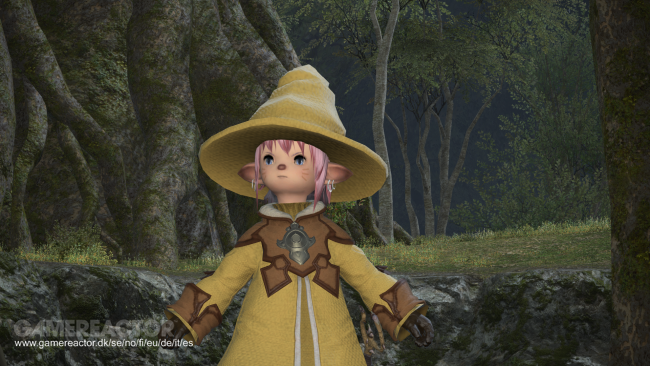 Final Fantasy XIV: A Realm Reborn