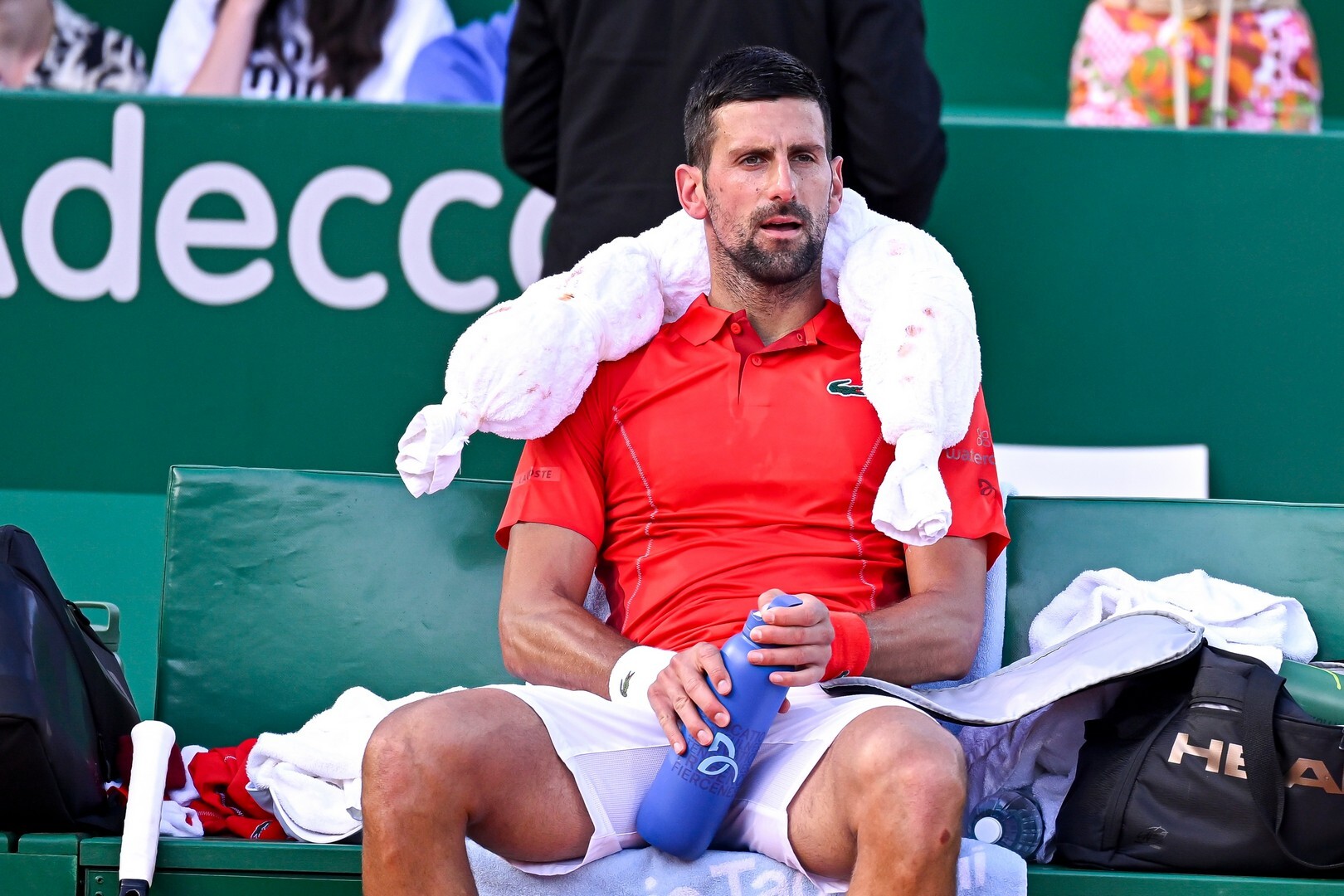 Sorteo de Wimbledon: Djokovic y Sinner en el mismo lado del cuadro, con un posible enfrentamiento en semifinales