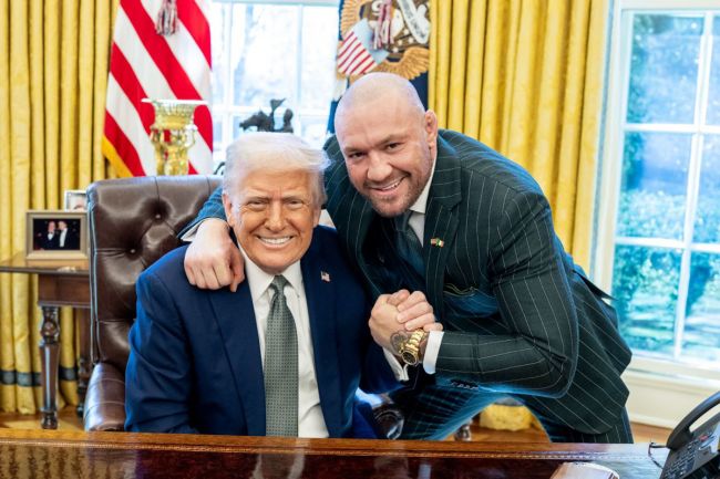 Los políticos irlandeses rechazan firmemente la candidatura presidencial de Conor McGregor: "ni una esperanza en el infierno"