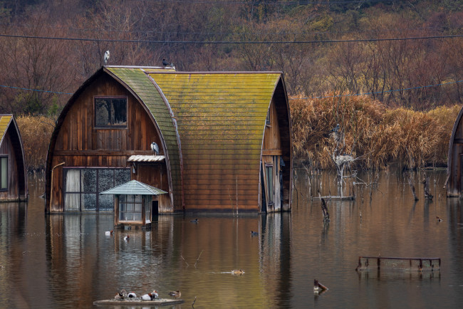 Las lluvias «sin precedentes» en Japón se cobran seis vidas