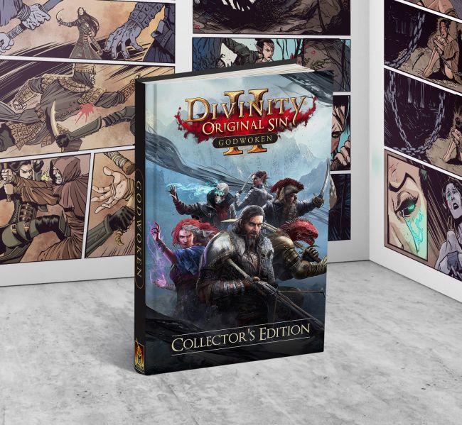 Divinity: Original Sin II