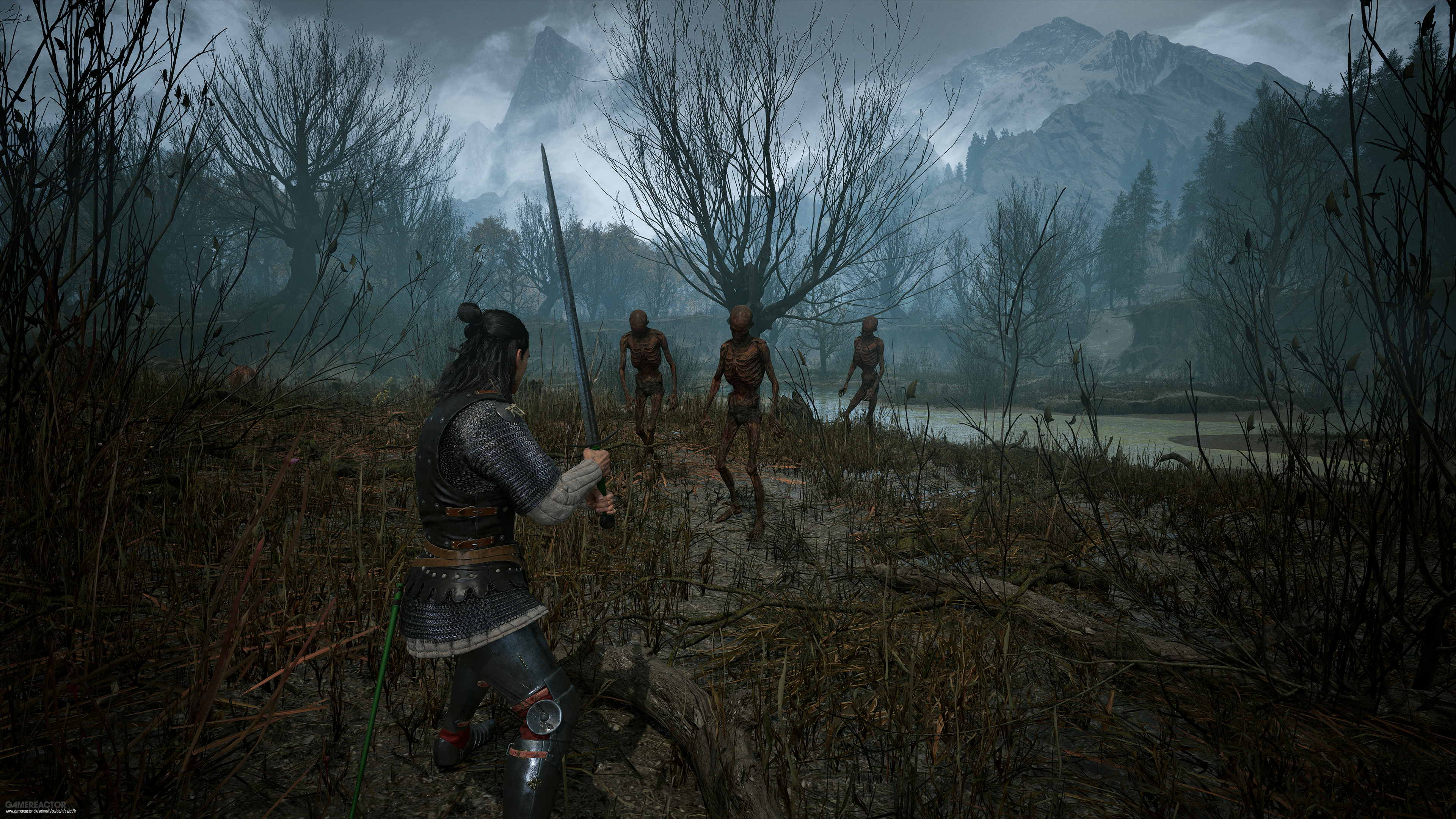 The Blood of Dawnwalker