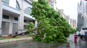 Millones de personas evacuadas en China tras la llegada del tifón Bavi