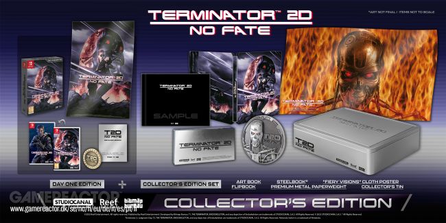 Terminator 2D: No Fate