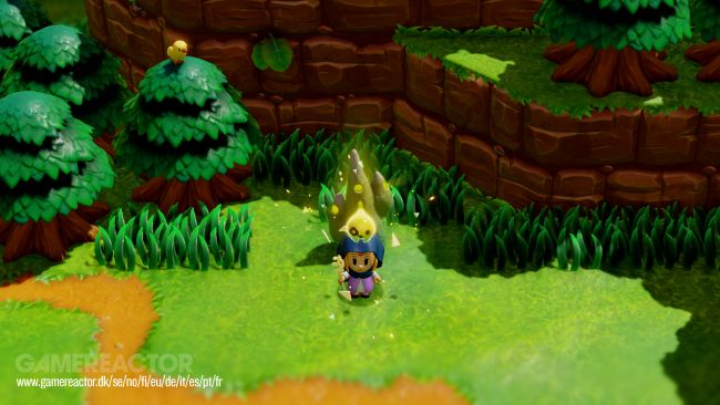 The Legend of Zelda: Echoes of Wisdom