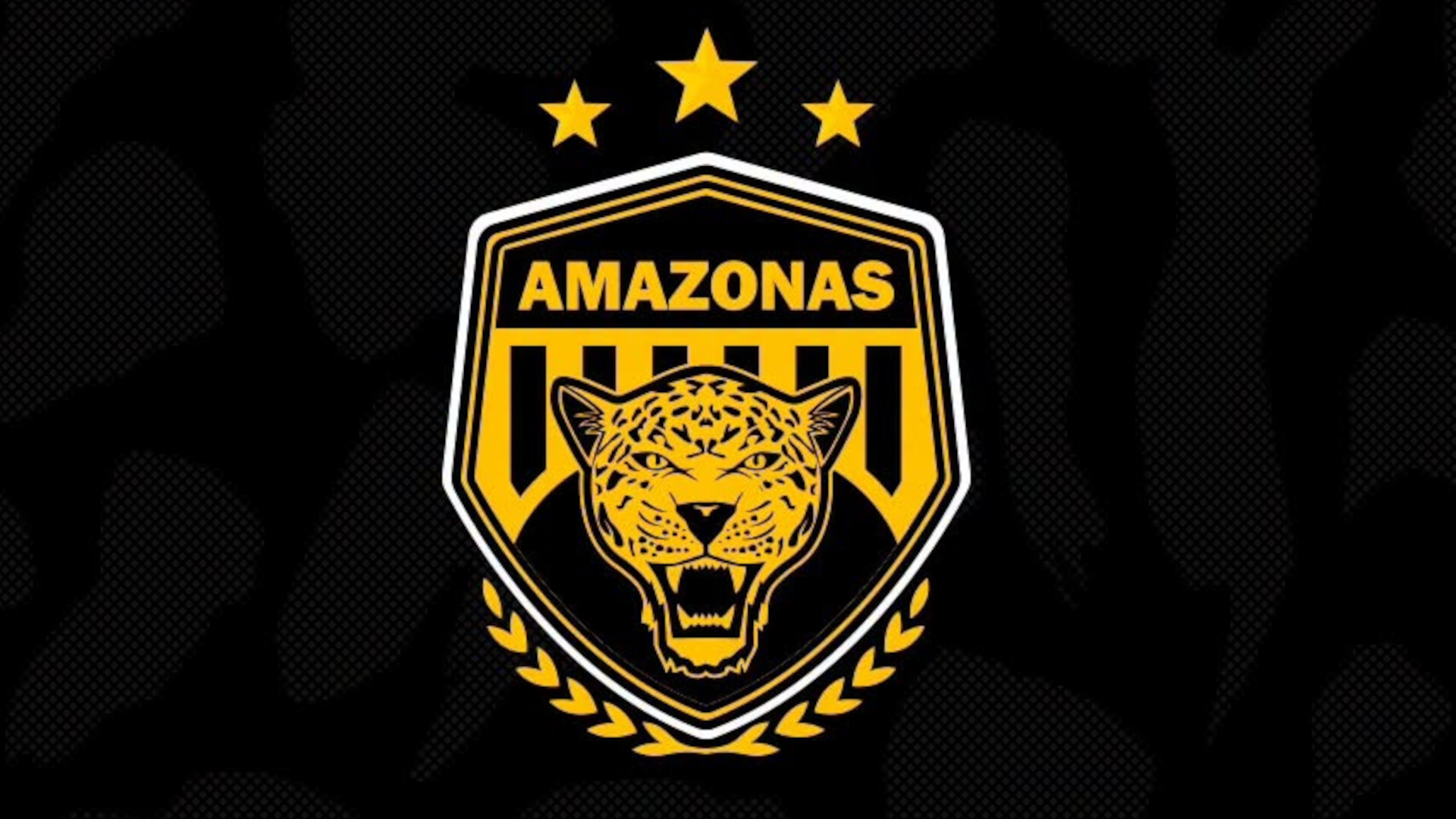 Equipo brasileño despide a un jugador con un vídeo de sus "mejores" errores