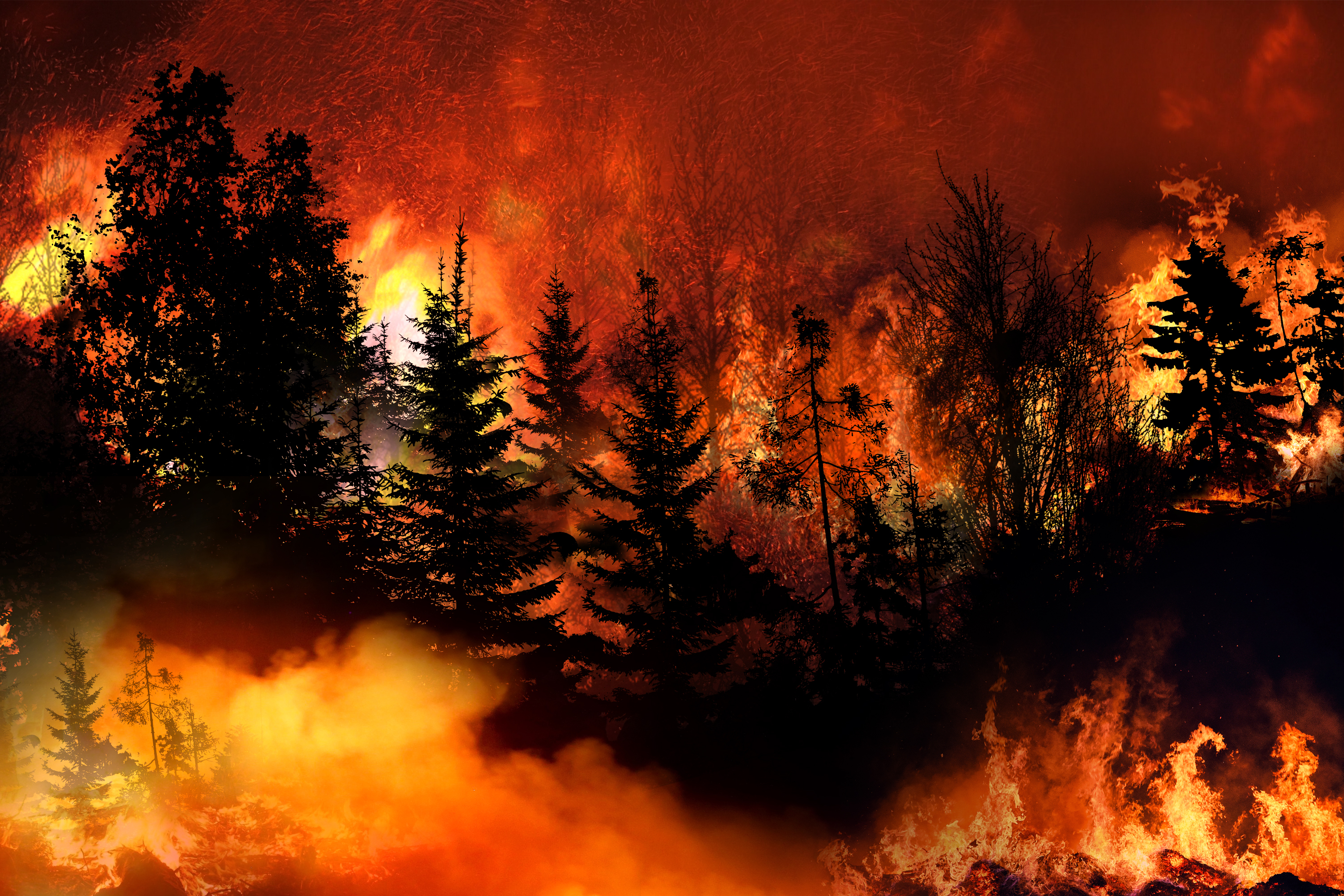 Europa se prepara para una temporada de incendios forestales aún más dura este verano