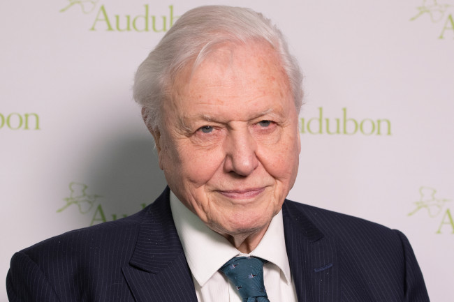 Sir David Attenborough recibe "abrumadores" mensajes de cumpleaños al cumplir 100 años