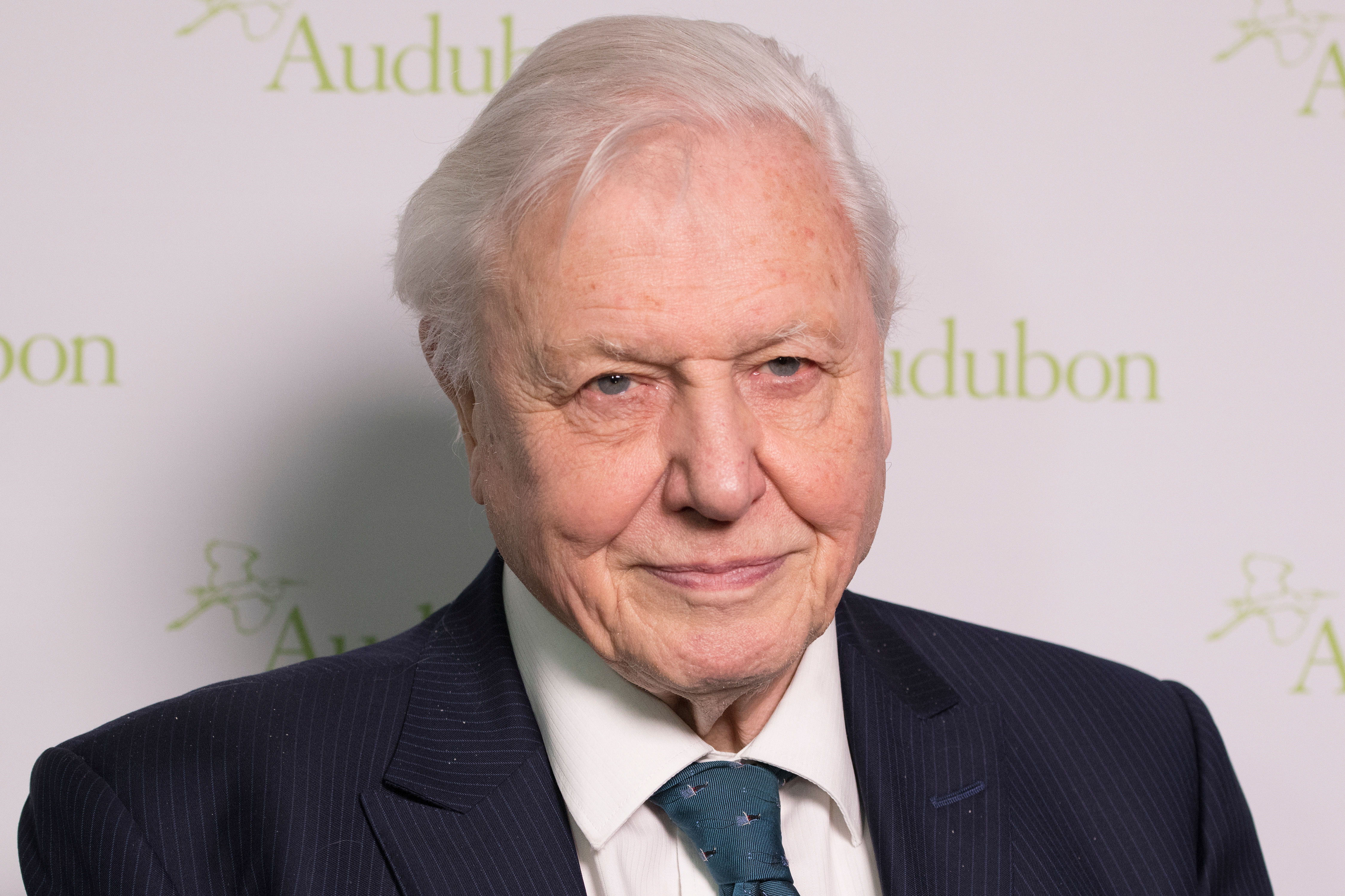 Sir David Attenborough recibe "abrumadores" mensajes de cumpleaños al cumplir 100 años