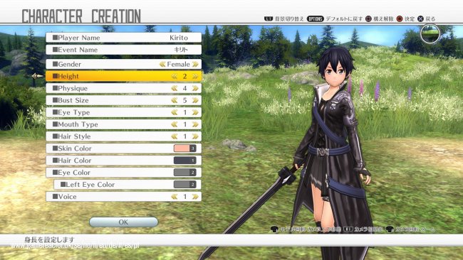 Sword Art Online: Hollow Realization