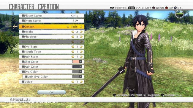 Sword Art Online: Hollow Realization